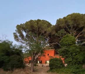 Casa en campo para desconectar en Madrid con Animales
